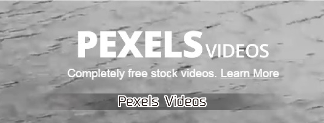 Pexels Videos　ピクセルスビデオズ