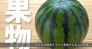 スイカは野菜でもあるし果物でもある